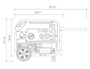 Firman H03651 Dual Fuel 4550W Portable Generator Electric Start 120V